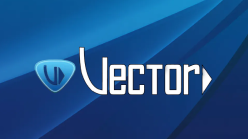 Vector NLS